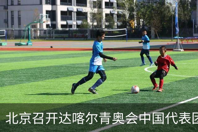 北京召开达喀尔青奥会中国代表团成立大会